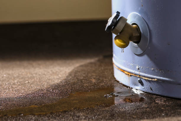 Best Residential water damage restoration  in Coplay, PA
