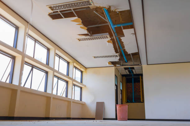Best Emergency water damage restoration  in Coplay, PA