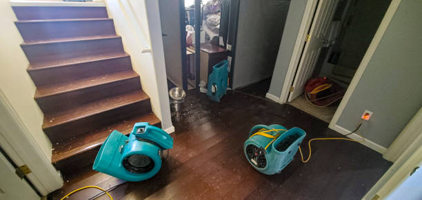 Best Ceiling water damage repair  in Coplay, PA