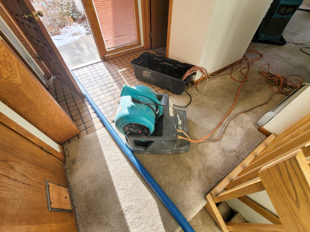 Best Water damage restoration near me  in Coplay, PA
