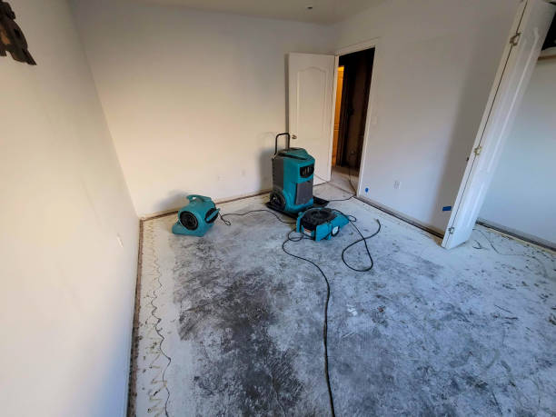 Best Water damage contractors near me  in Coplay, PA